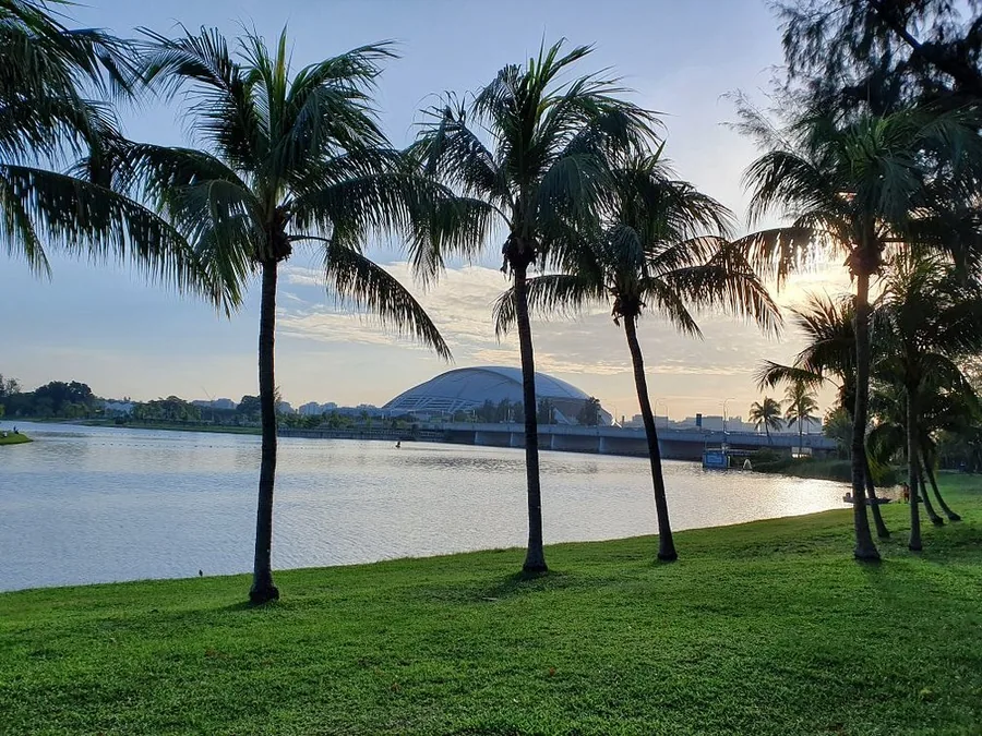 Waterfront greenery and palms at Kallang Riverside Park